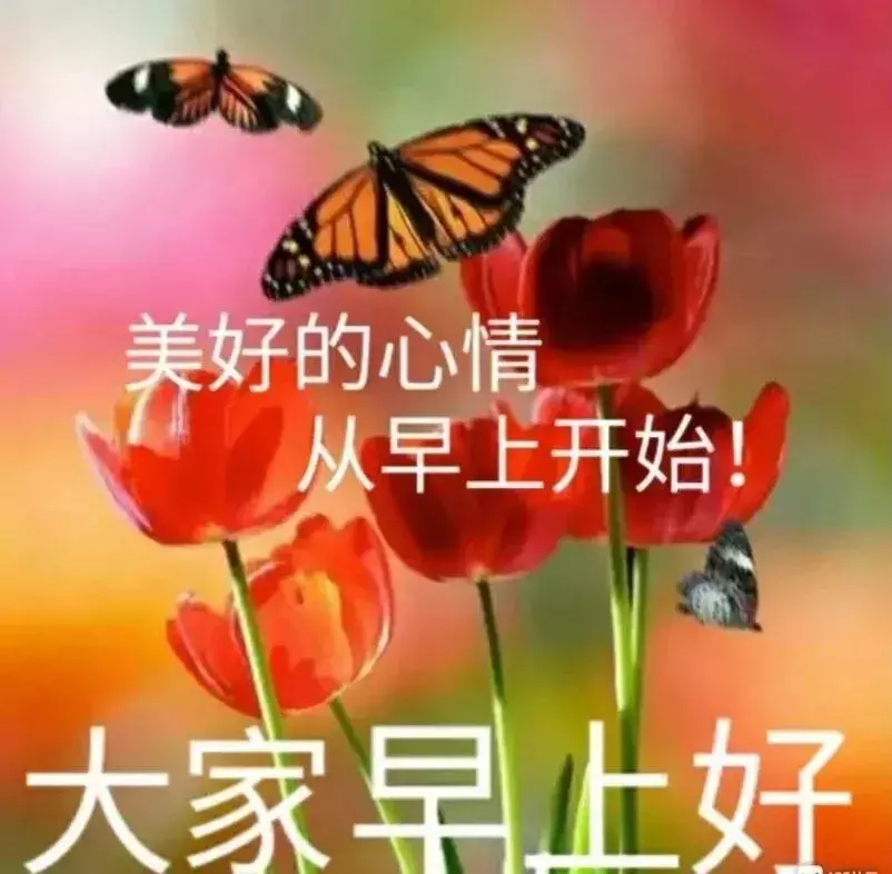 早上好祝福动态表情图片送给好朋友图片