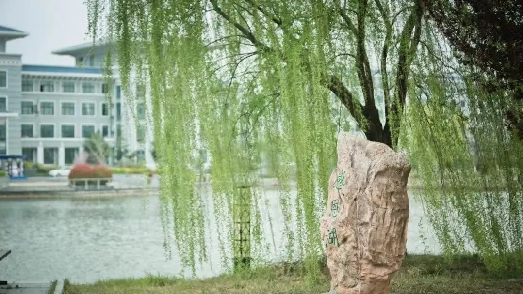 新學(xué)期，新的開始，新的期待——聽聽學(xué)子的心聲