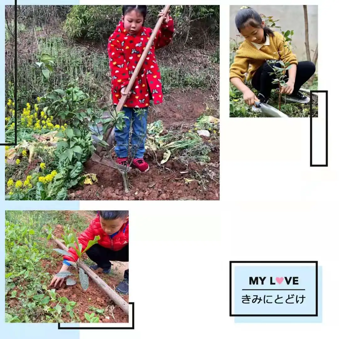 创绿色环保 享美好家园丨天府新区新兴小学植树节环保教育活动