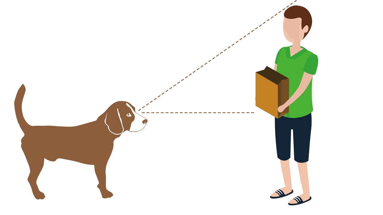 農村人口中亦正亦邪的猛獸，豺狗真的會保護人嗎？