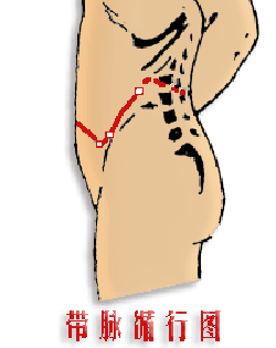 在奇经八脉里 对女性最重要 任脉 督脉 冲脉 带脉 不可不通 Meshow Mdeditor