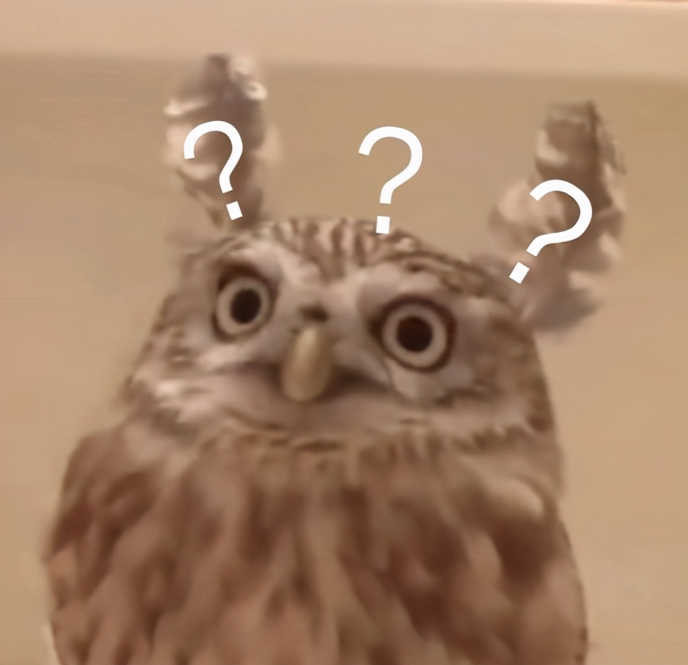 For hammer male love beans is broken bits male, elder brother's wife people do not become the netizen really alien