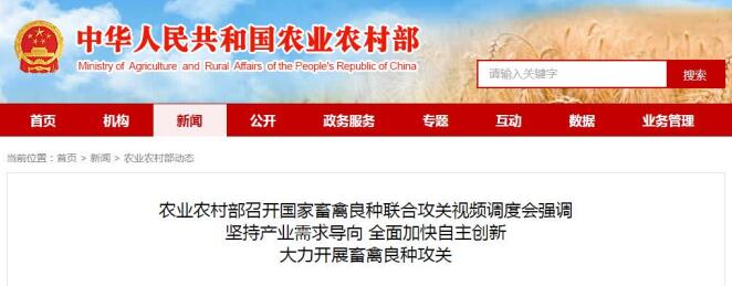 中国生猪交易市场今日热点：猪价下跌现象增多