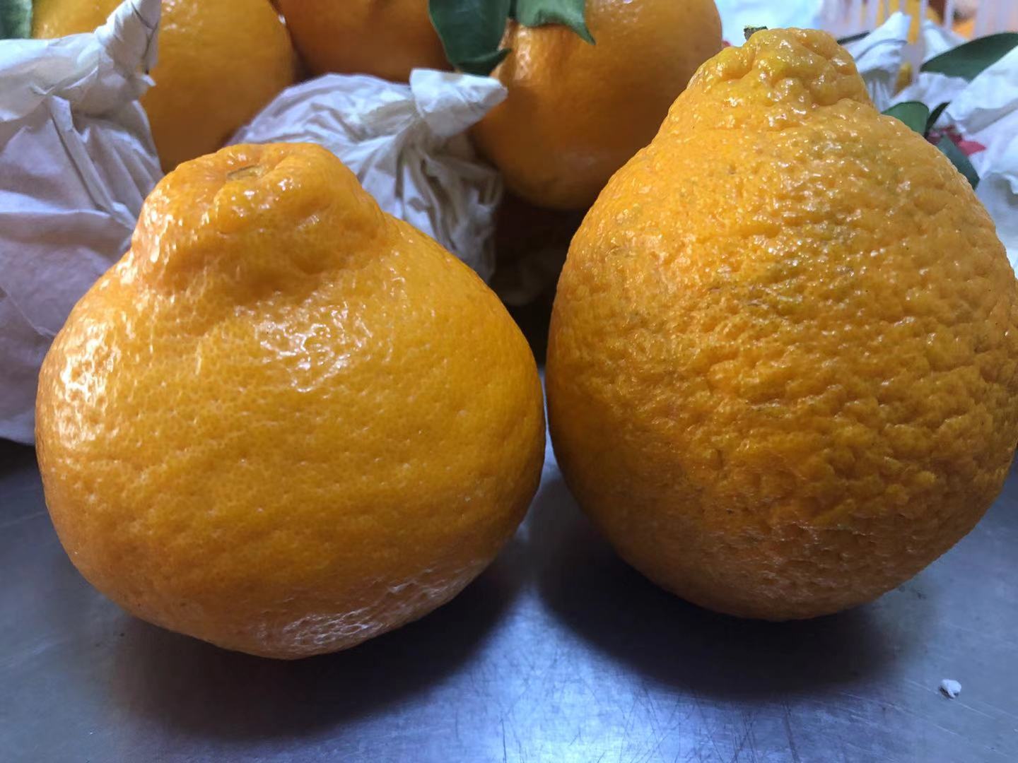 3月份，最适合春天吃的4种水果，新鲜美味，正当季放开了吃