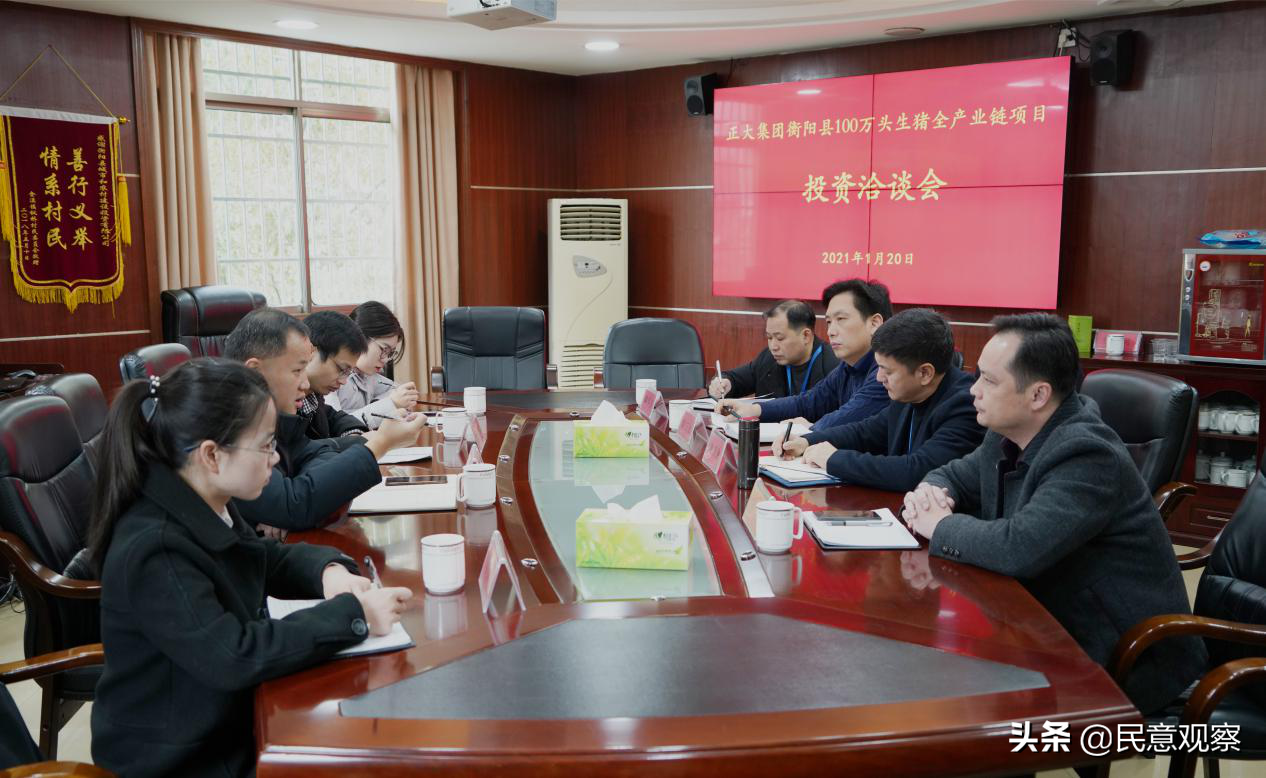 衡阳县城建投公司与正大集团举行百万头生猪全产业链项目投资洽谈