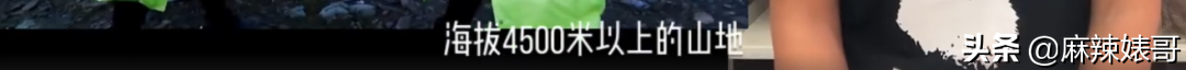 《极限挑战》做错事后装怂又甩锅，这算是又蠢又坏了吧？