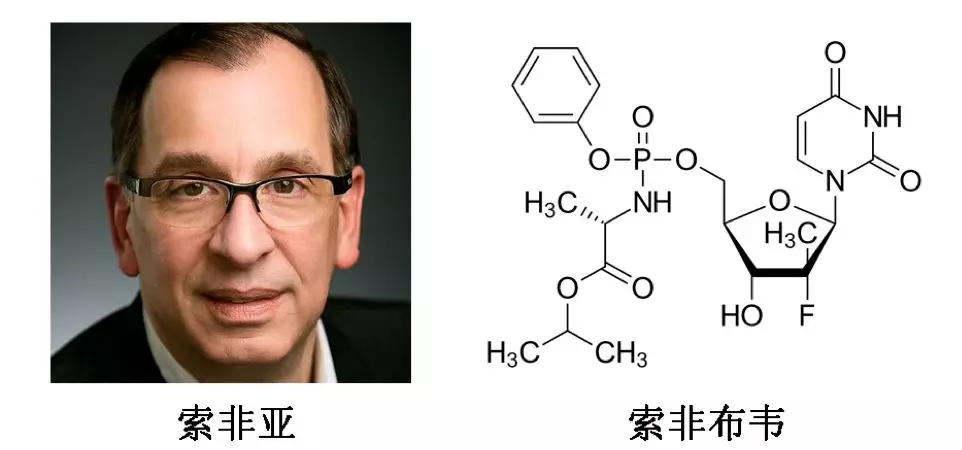 最全解读：抗击丙肝，三位科学家获今年诺贝尔生理学或医学奖