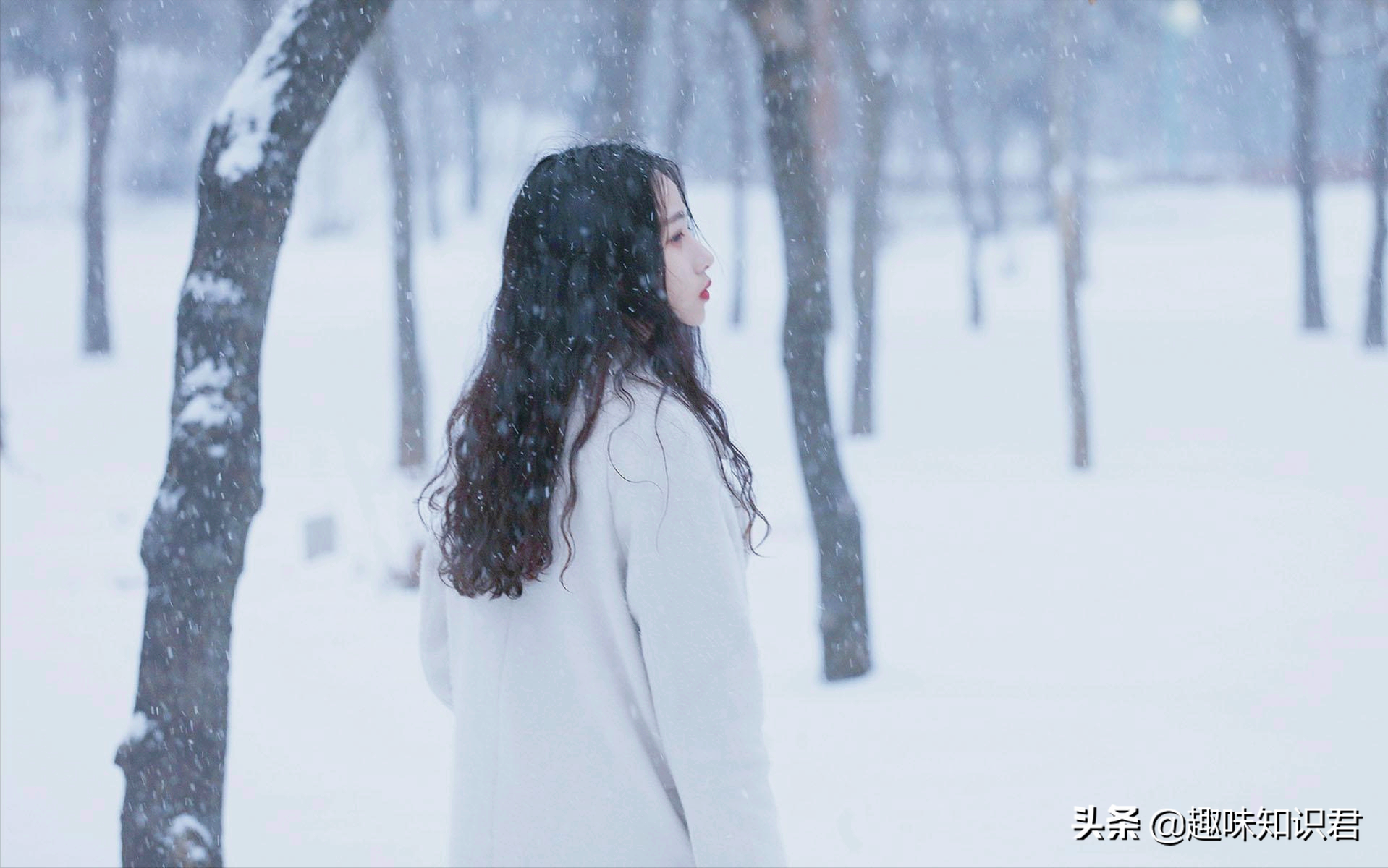 世界上有趣的冷門小星空体育官网入口网站科普，看到就是賺到