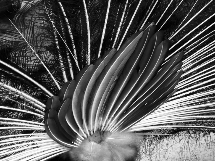 PE超百倍的爱尔眼科到底是个什么物种？