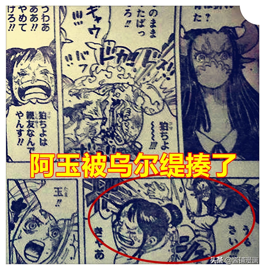 海賊王1012話，基德制造了一只機械老鷹，烏爾緹被娜美瞬間擊潰