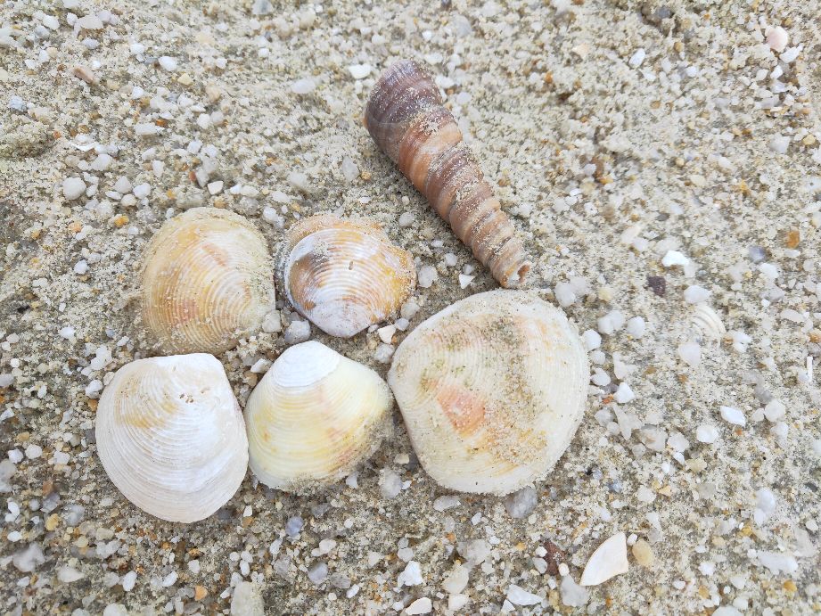 现在做自媒体到底晚不晚