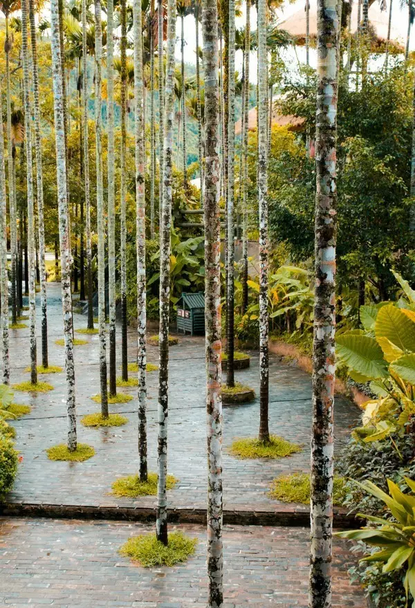 另一个角度看海南！重磅经济政策下的海南，那