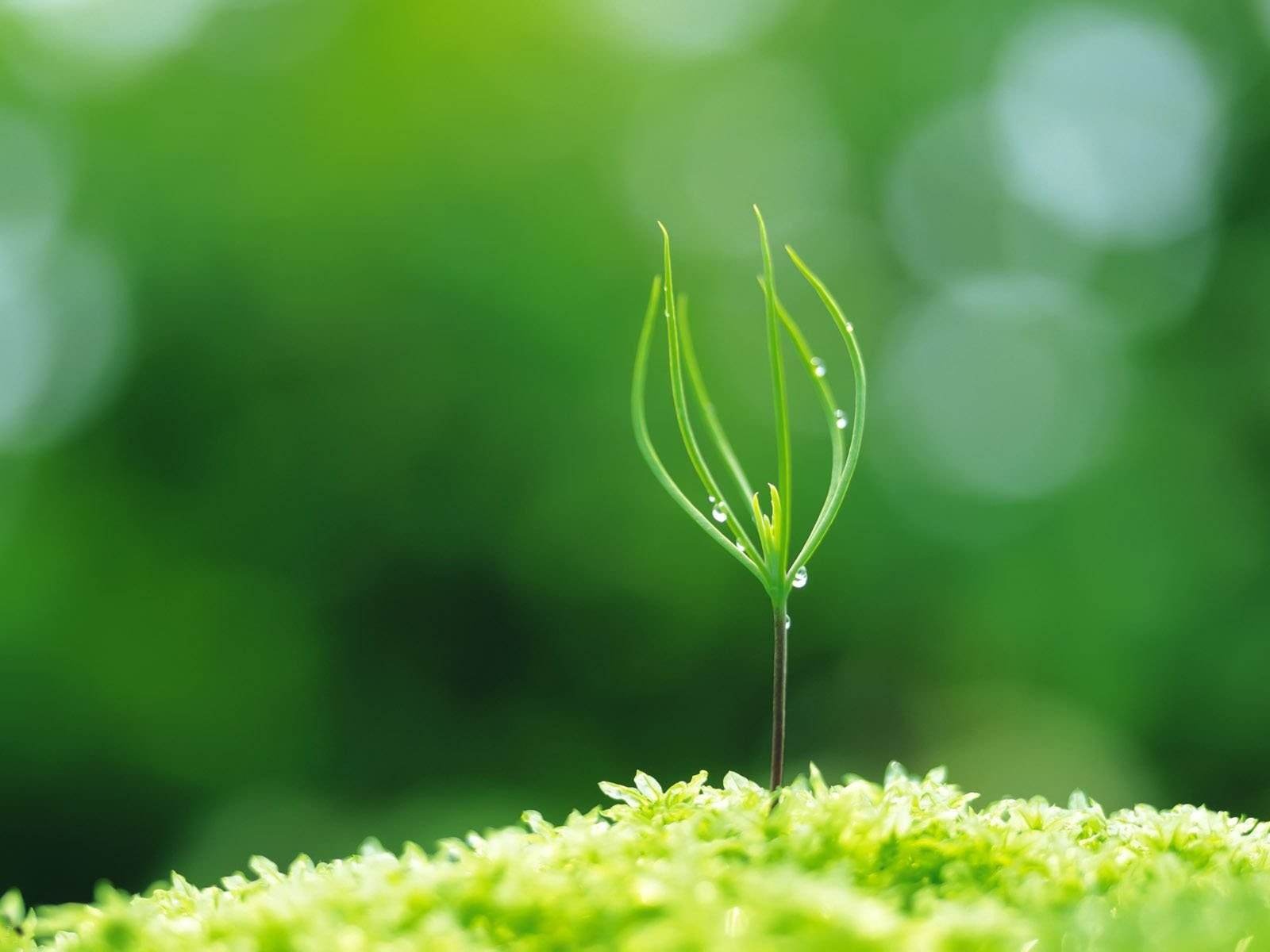 励志散文诗，沙砾变珍珠，破茧成蝶，过程却让人泪奔……-第1张图片-非凡网