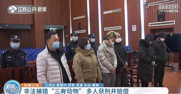 非法狩猎1000余只夜鹭鸟卖给各大酒楼 多名被告被判刑