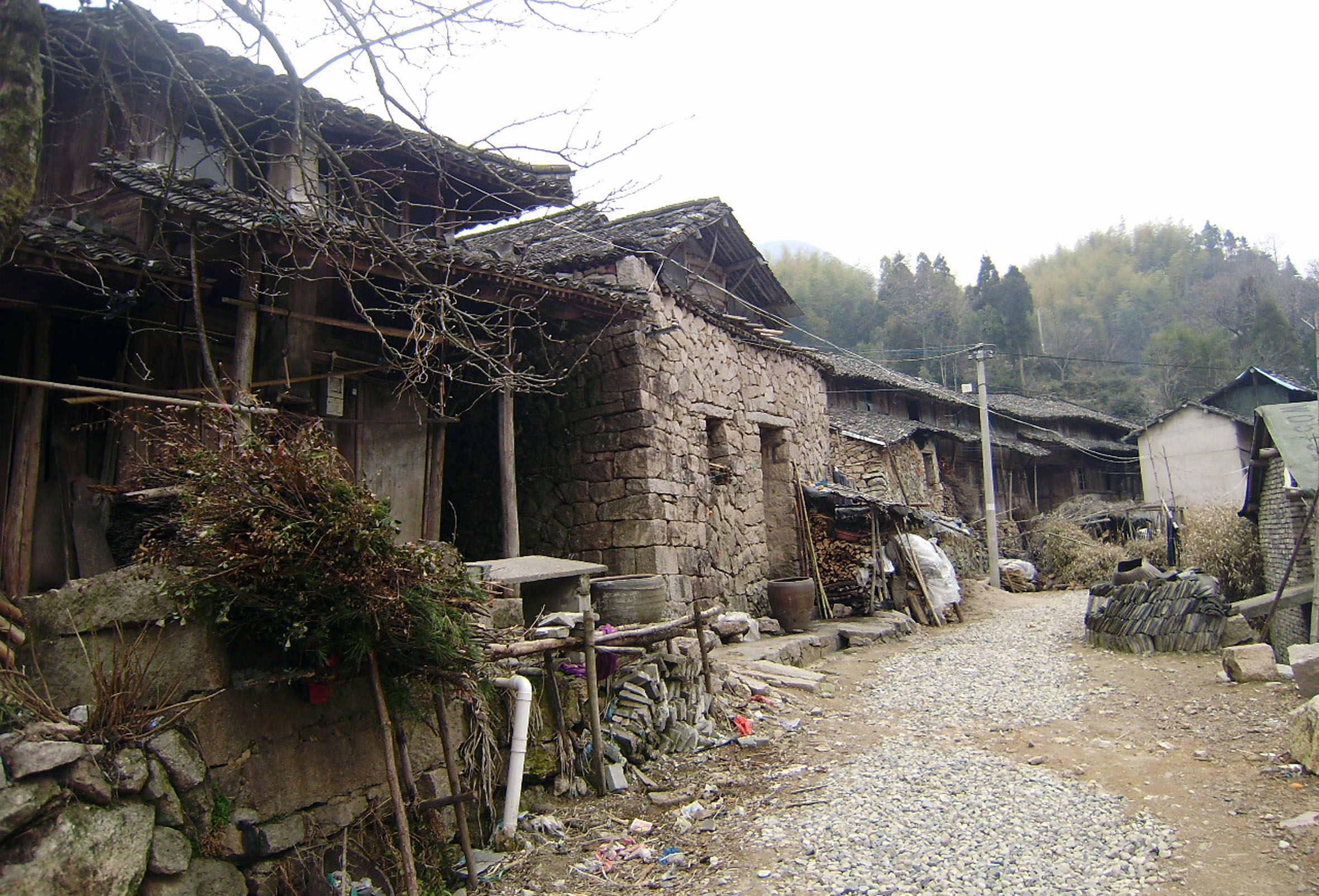 提前批并不适合所有人它是五类人的机会又是谁的陷阱