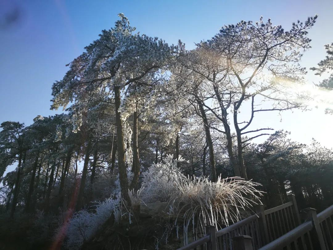 美哭｜3月2日天岳幕阜山现大面积雾凇美景，晶莹剔透美极了.