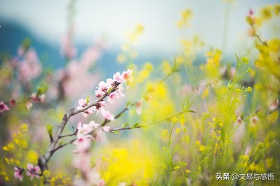 5月寄语：行情会是什么样子