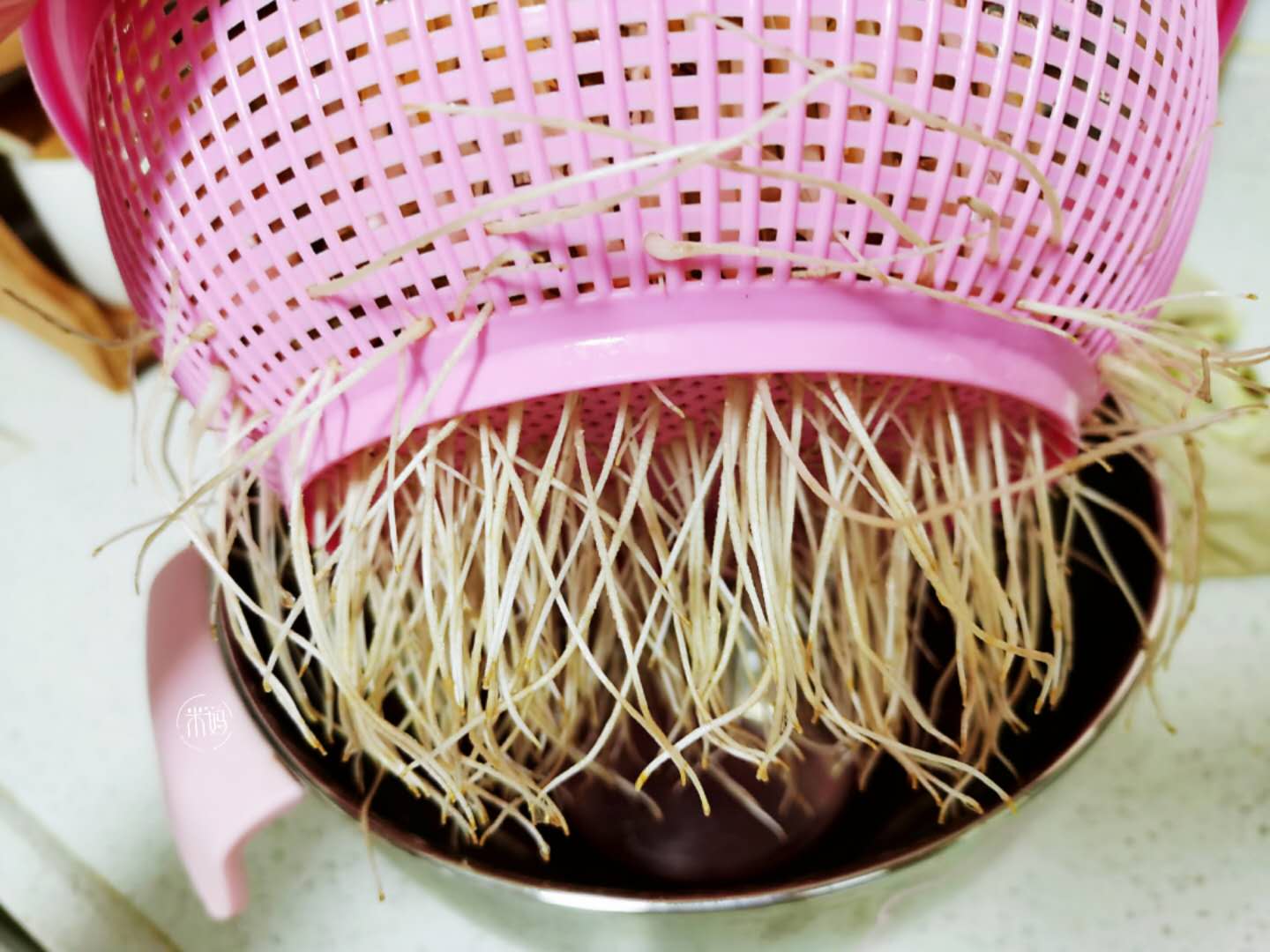 图片[12]-发豆芽做法步骤图 根根粗壮又脆嫩比买的健康-起舞食谱网