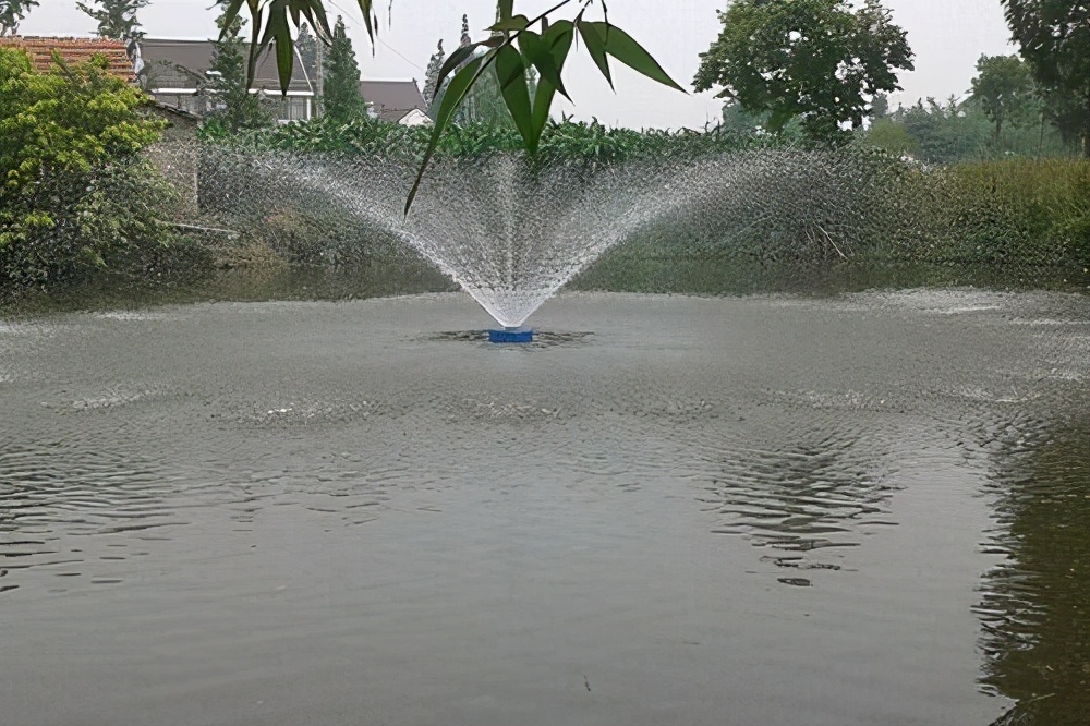 科學(xué)增氧與開機增氧（十八）原則，溶氧足水質(zhì)就好魚兒更好