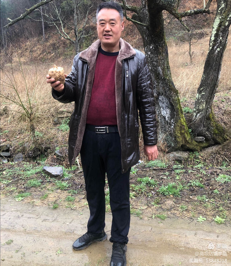 陜西山陽（高壩產業振興）又到收獲季   天麻喜增收