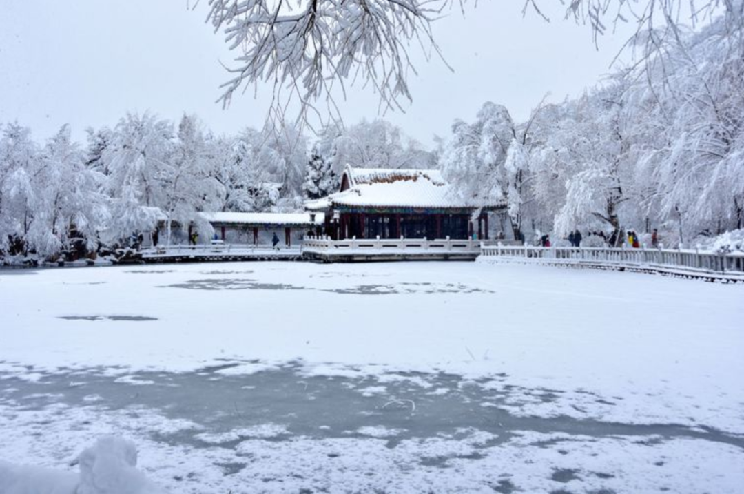 遇见最美的冬天，遇一场雪，在最美的诗词里遇雪-第4张图片-非凡网