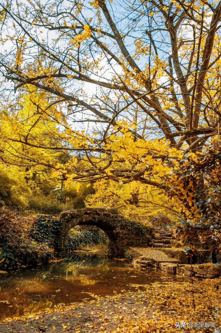 10 ancient towns with beautiful autumn colors, if you are tired, go to stay for a few days