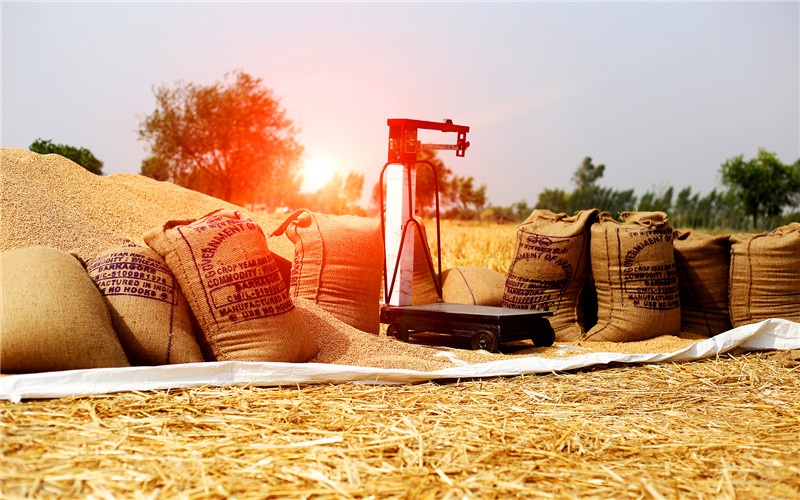 50多岁的人创业，想在农村开个小工厂，有哪些项目可以选择？