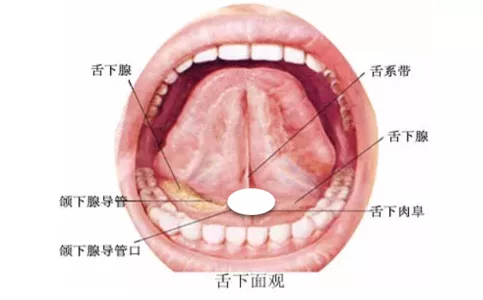 服用“救命药”硝酸甘油，至少要知道这5点