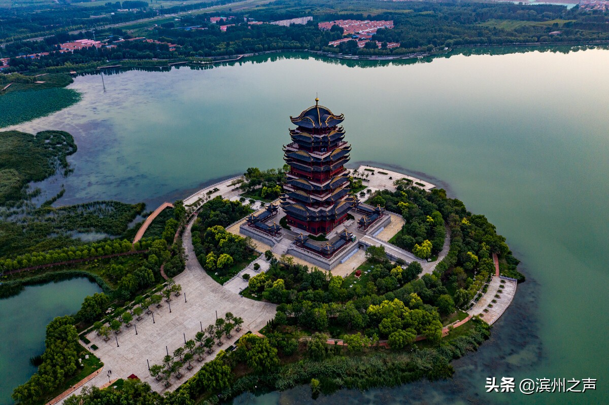 森林公园生态湿地滨州聚力打造黄河下游绿色生态走廊叫响黄河生态名片