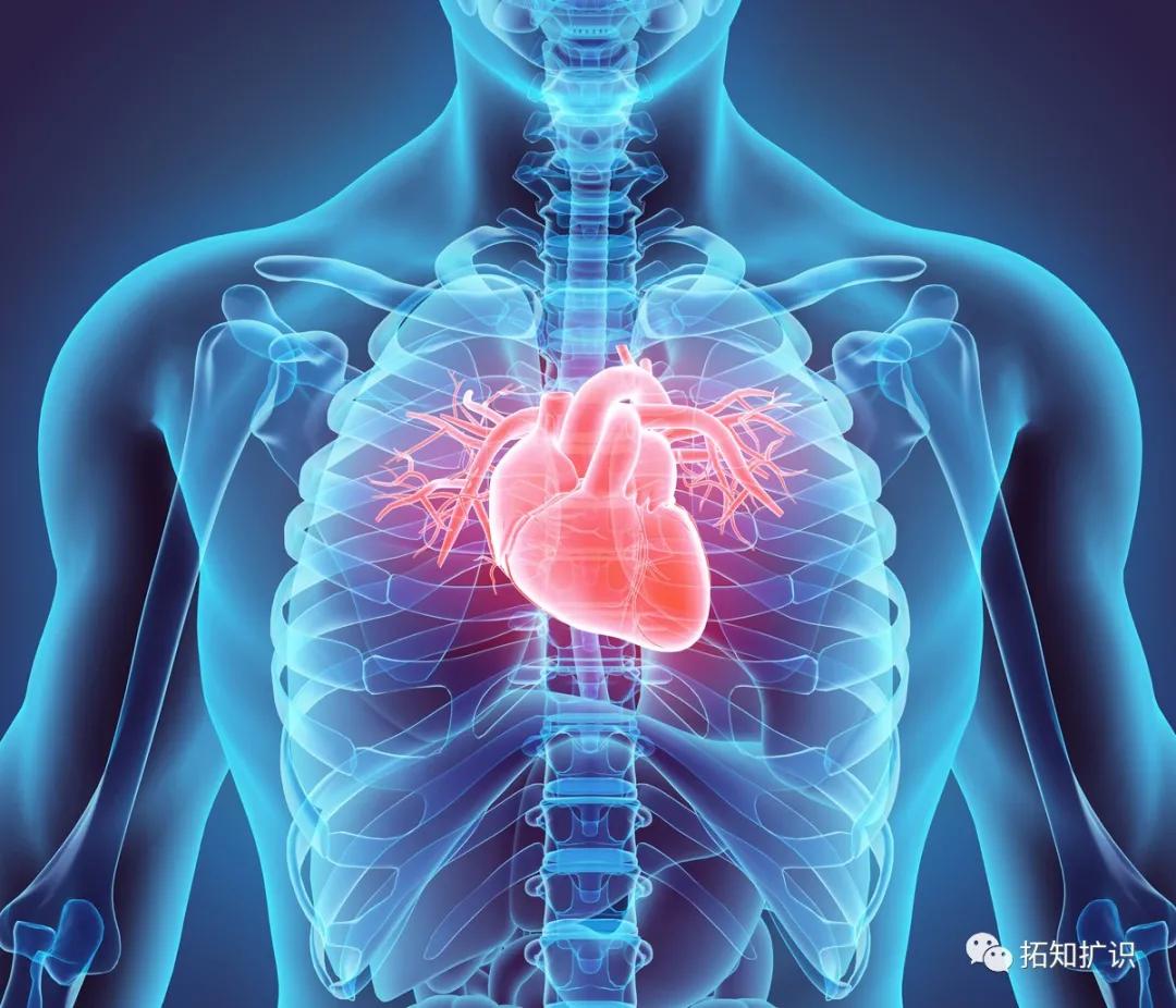 還在習以為常地熬夜？ 卻不知你的身體已經悄然垮掉