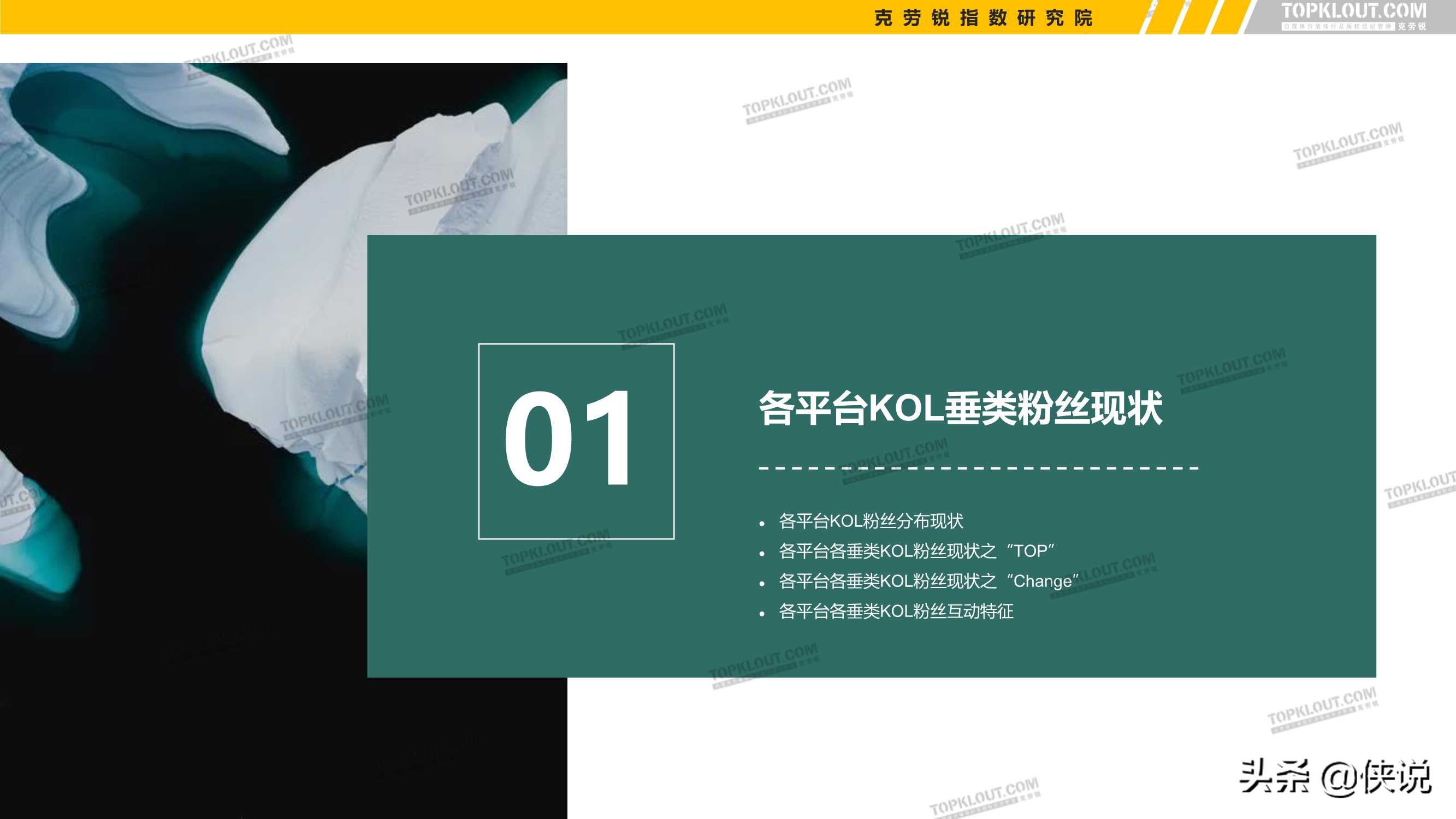 2021年看得见的粉丝价值：五大平台KOL粉丝分析研究报告