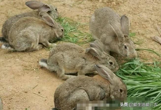 现在能闷声发大财的行业？