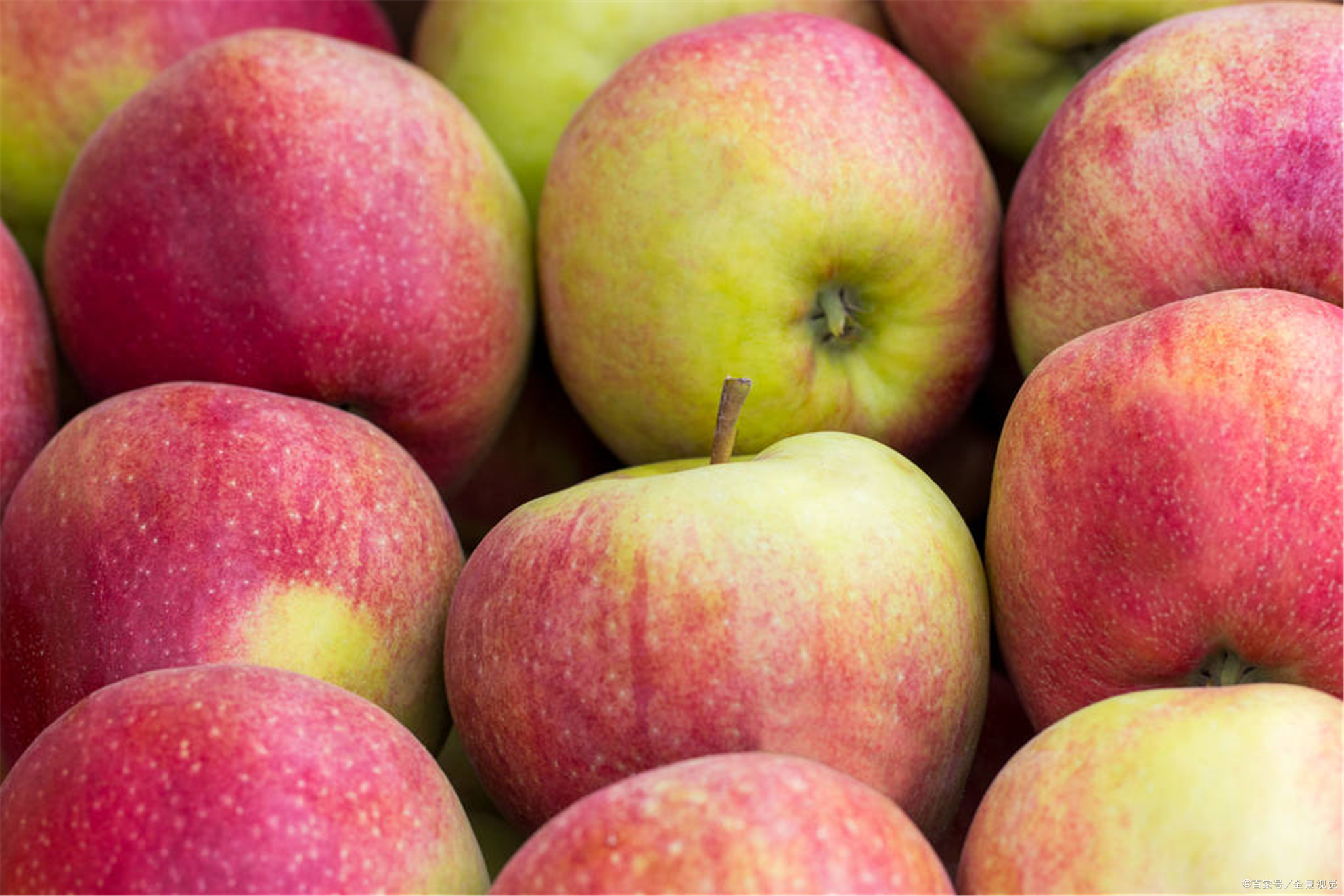 早晨和晚上，哪個時間吃蘋果更好？ 營養師直言：這兩個時間或更好