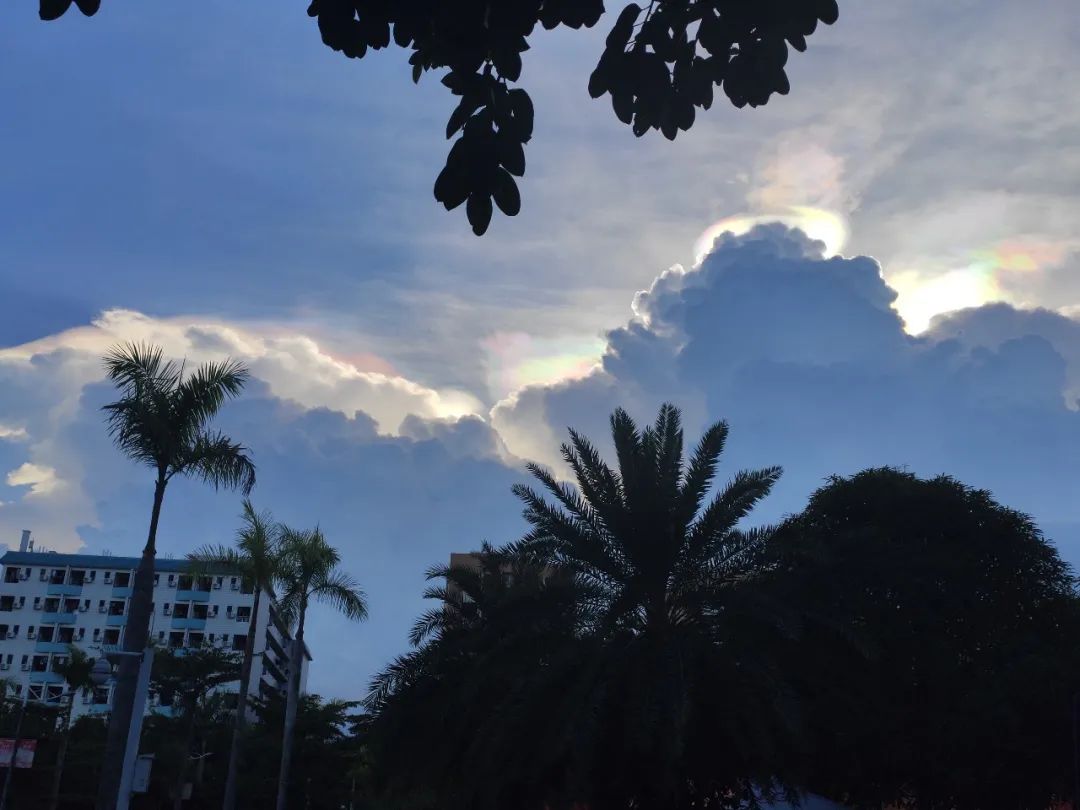 Small happiness | Those who record the life is small I hope truly -- crepuscular piece