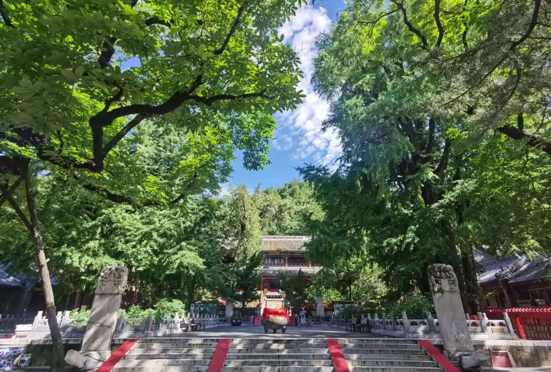 Find the quietness of ancient temples, and enjoy the beautiful scenery of early autumn at Tanzhe Temple and Jietai Temple!