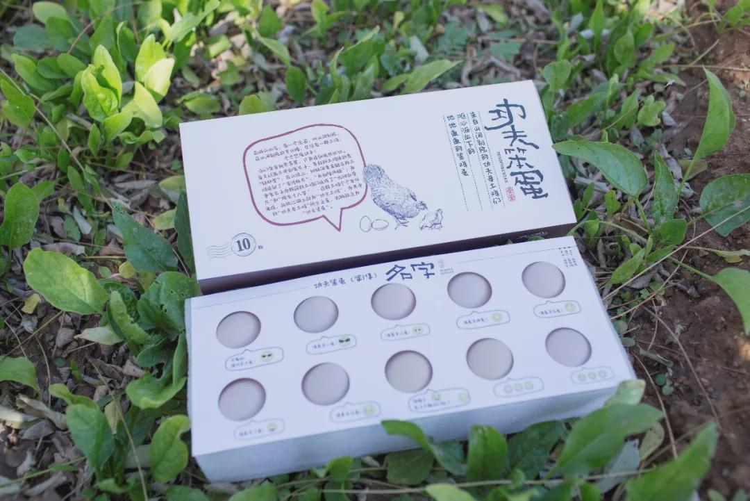 老杨和老林：从两头“文学小青年”到两个“造院大叔”