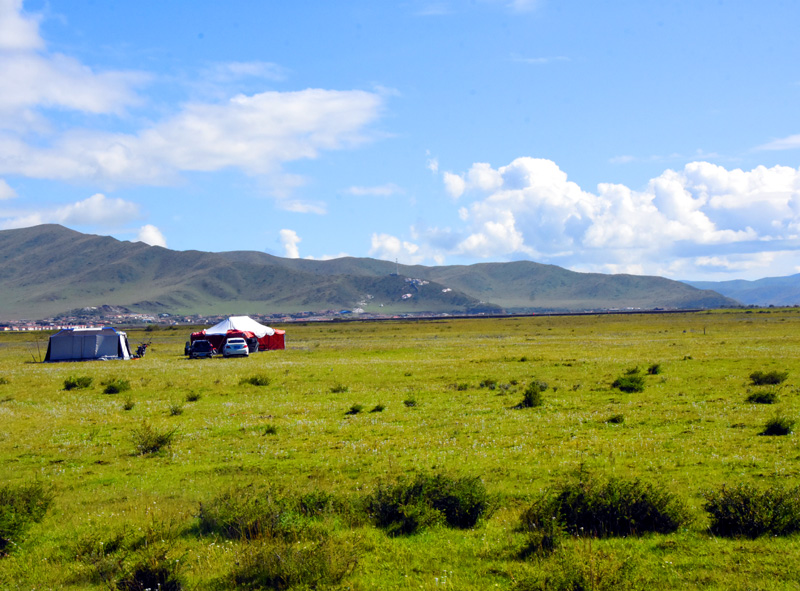 四川旅游：走进阿坝州红原大草原（图）