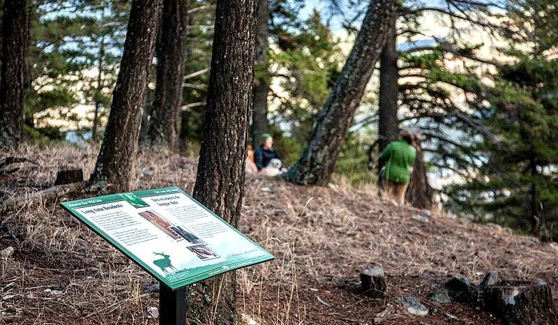 贾斯珀国家公园最全最详细旅游攻略