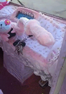 搞笑gif神评:女友首次开车上路,让人操碎了心