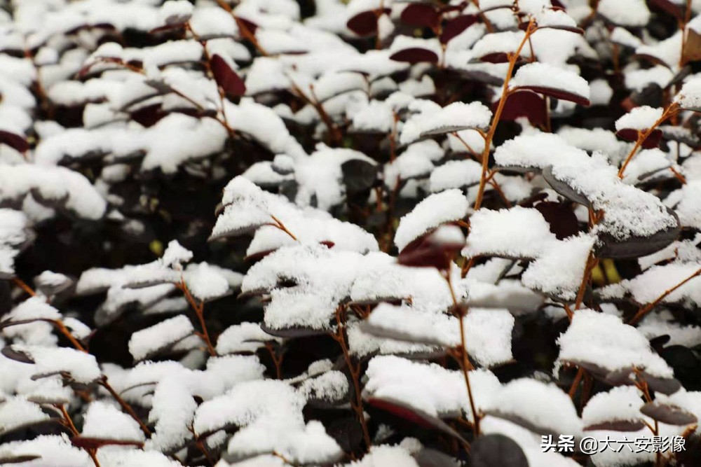 6 how: Heavy snow flies violently greet New Year, the Xue Jingtai in cameraman camera lens is beautiful