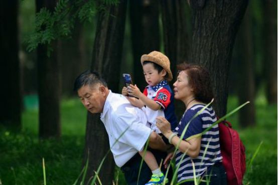 為什麽孫子會長得像祖父祖母？搜集大量資料後，終於找到答案