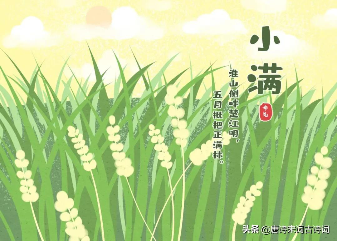 小满节气来了,赏析清代王泰偕的《吴门竹枝词四首·其四·小满》-第1张图片-非凡网 小满节气来了,赏析清代王泰偕的《吴门竹枝词四首·其四·小满》-第1张图片-非凡网