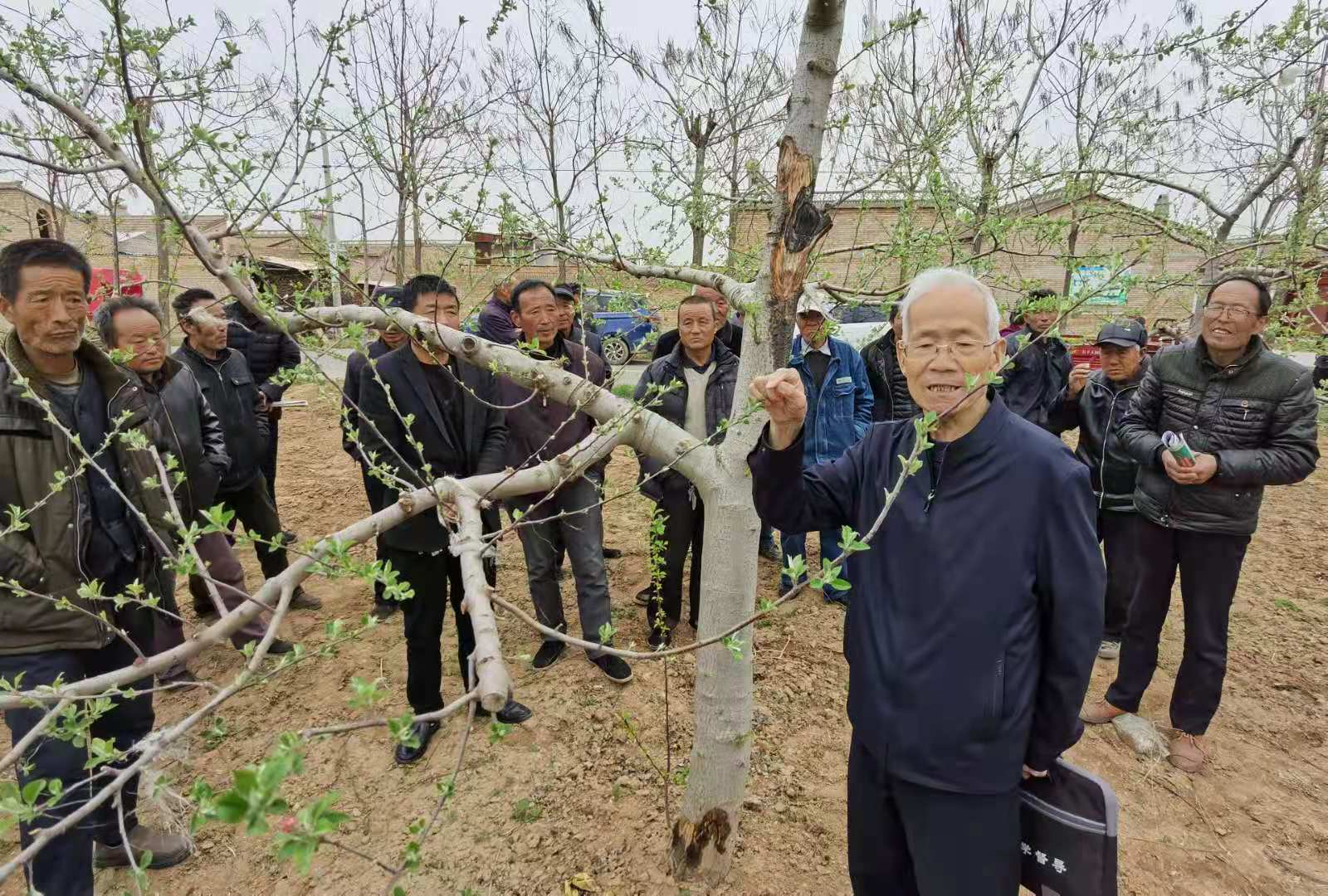 基層技術(shù)培訓為鄉(xiāng)村振興匹配“助推器”