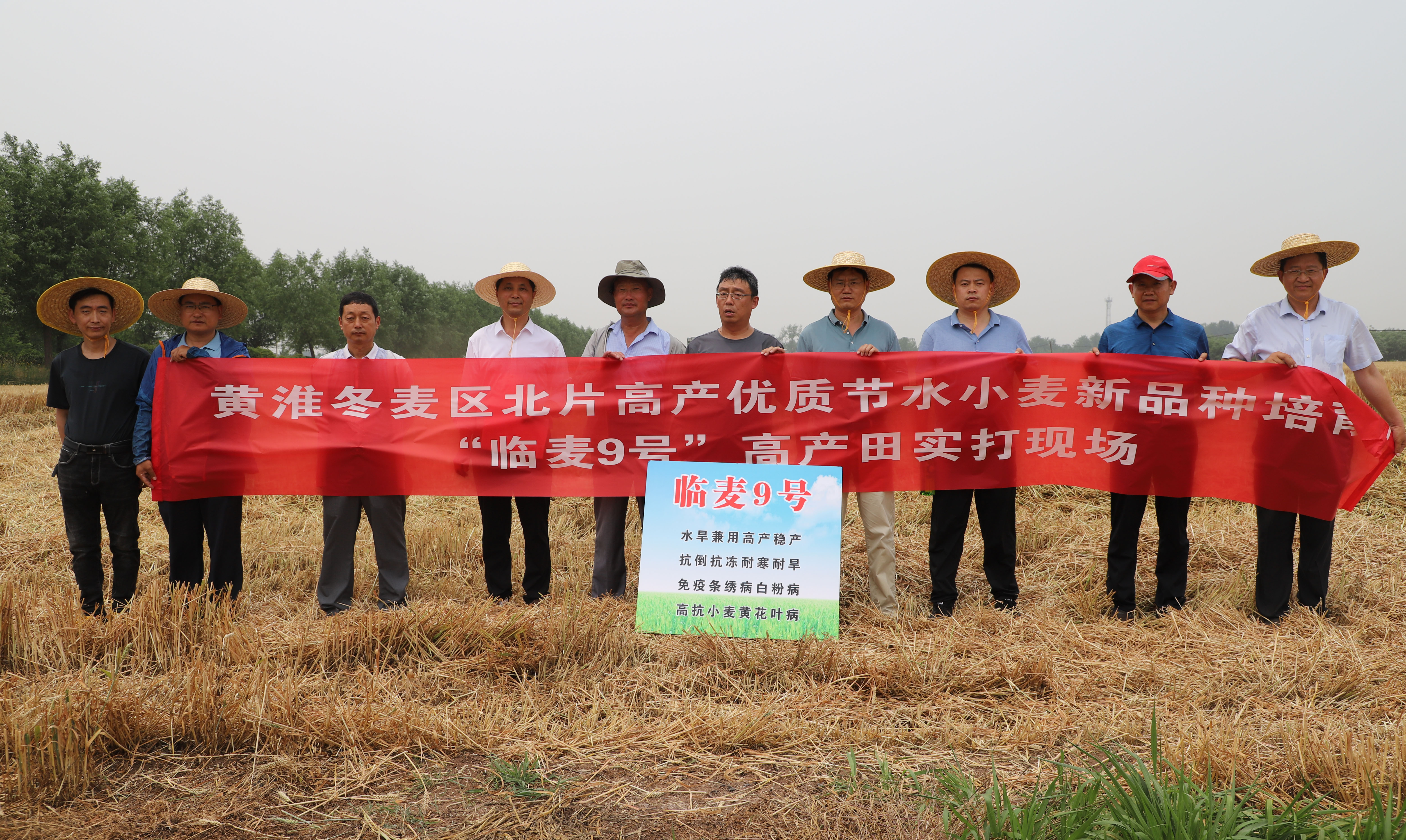 亩产821.5公斤,临麦9号刷新我市小麦单产最高纪录 亩产821.5公斤,临麦9号刷新我市小麦单产最高纪录