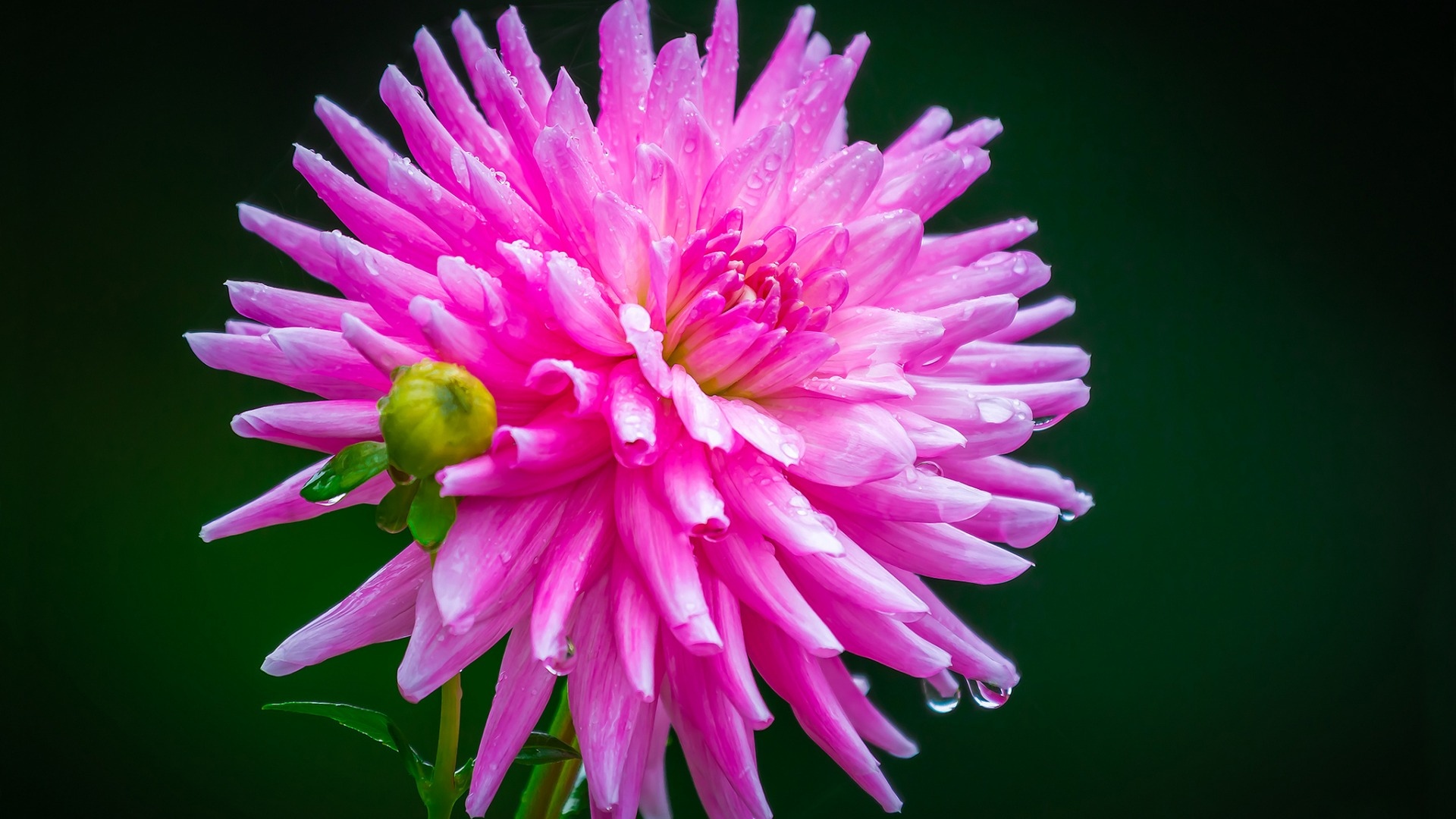 6月15日 19日星座运势 双子座执行力强 射手座魅力十足 资讯咖