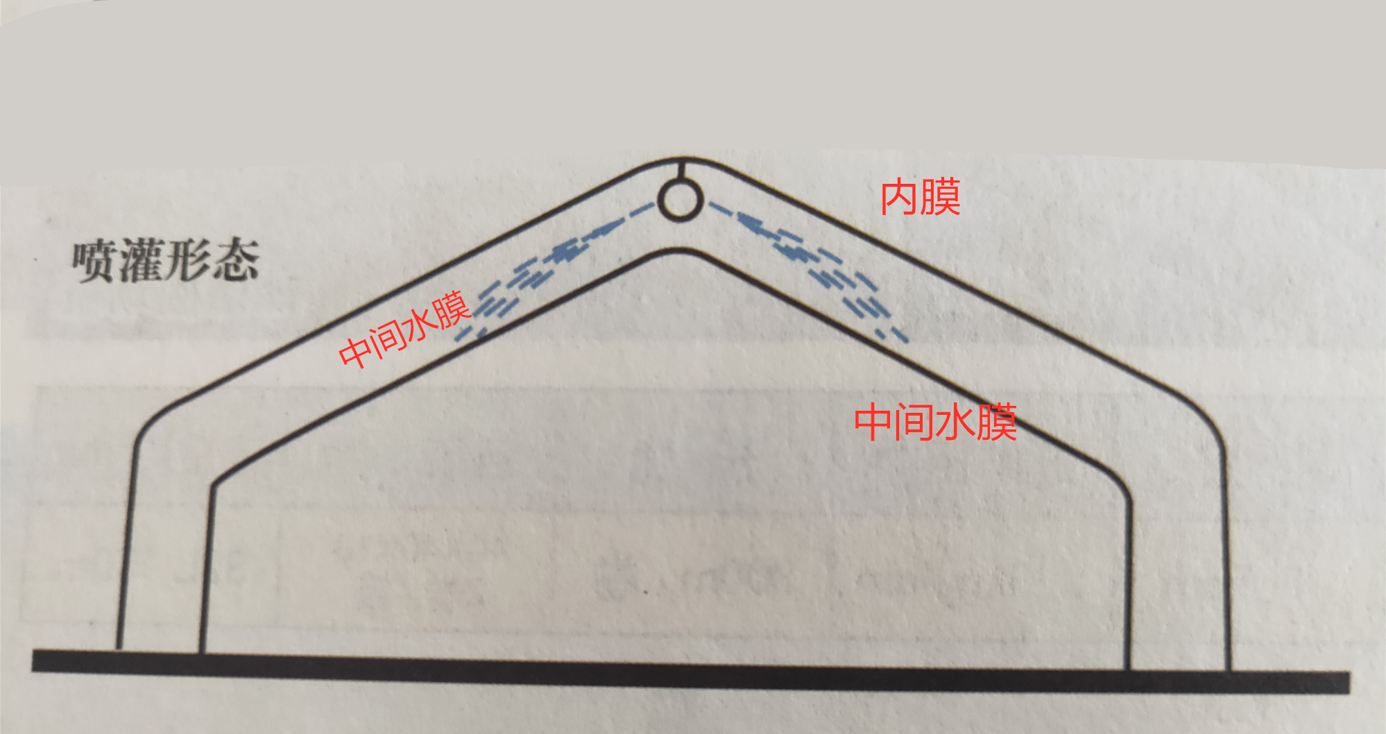 薄膜塑料温室大棚水幕保温方法你知道吗？现代农业种植妙招