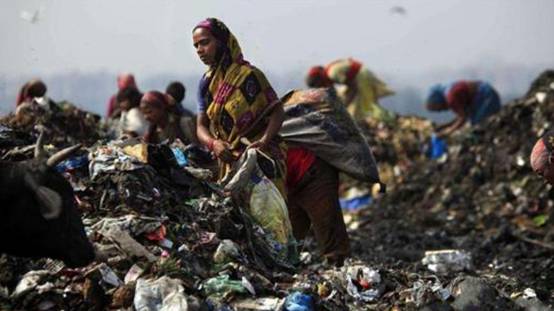 印度人疑惑：洋垃圾渾身都是寶貝，為何中國人卻半點不要？