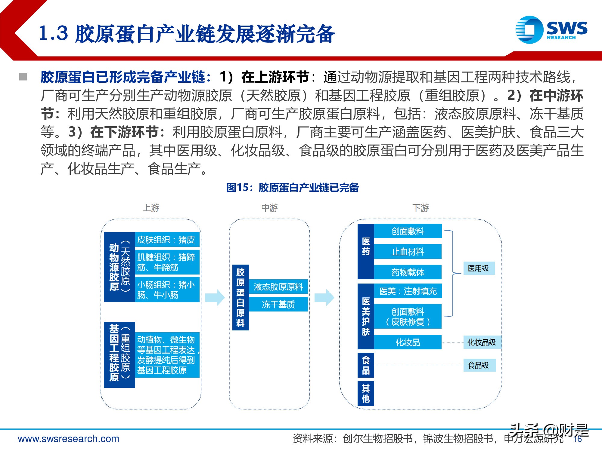 胶原蛋白行业深度报告：医美护肤日新月著，胶原蛋白蓄势待发