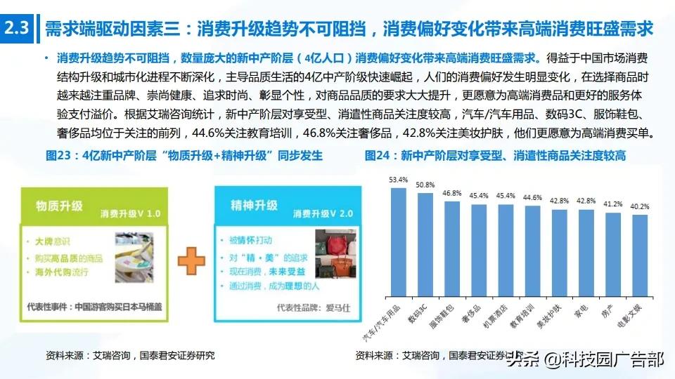 2020年中国高端消费品专题报告