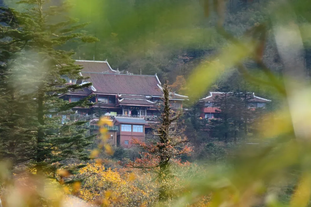 没想到,峨眉山以这样的方式告别秋天